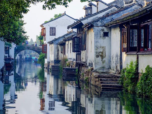 植物大战僵尸：花园战争